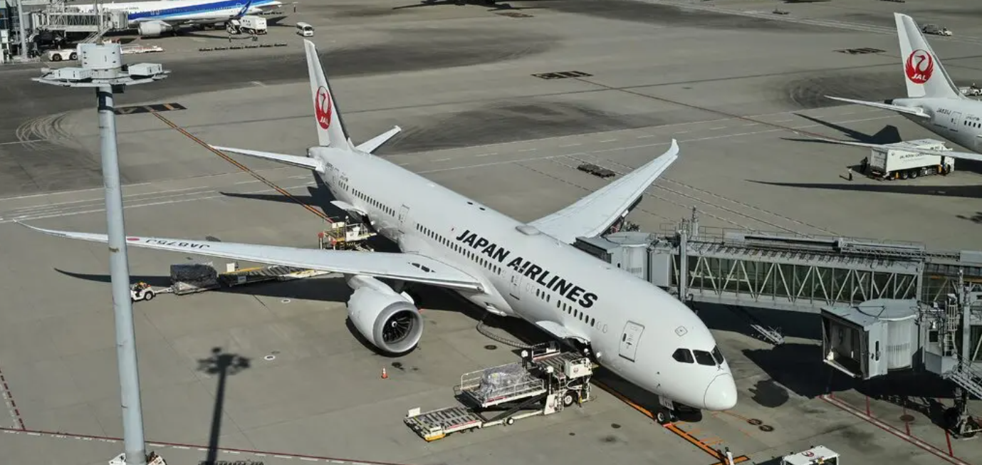 Cyber Attack Disrupts Japan Airlines Flights, Halting Ticket Sales