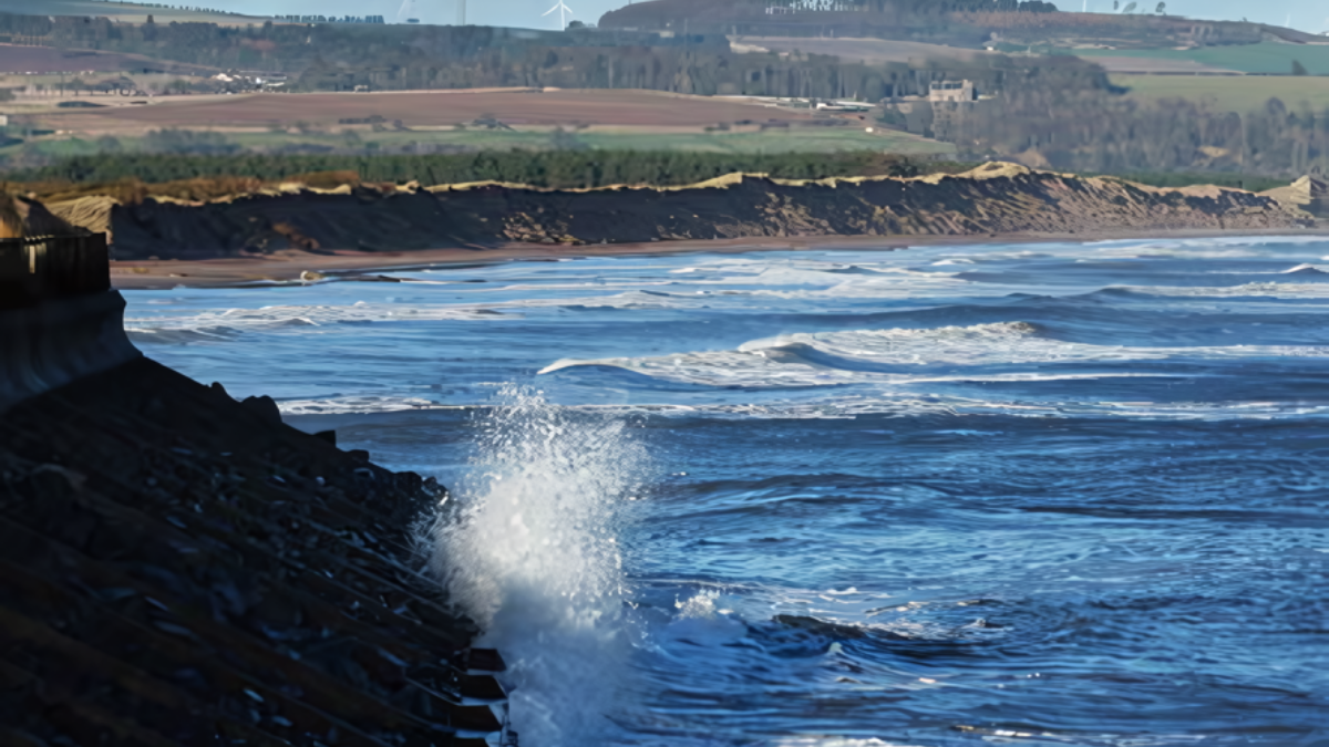 Untitled design (68)